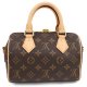 Louis Vuitton Speedy 20 Monogram Medium handbag