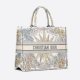 Dior Book Tote Multicolor handbag
