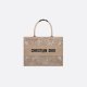 Dior Canvas Embroidered Voyage Book Tote