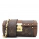 Louis Vuitton Papillon Trunk