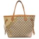 Louis Vuitto NeoNoeam Canvas Onthego PM Tote Medium handbag