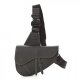 Dior Saddle Crossbody Bag