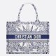 Dior Book Tote Blue