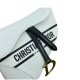 Dior White Oblique Saddle Bag Perforated and Embossed Calfskin