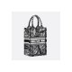 Dior Mini Book Tote Phone Bag