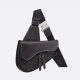 Dior Saddle??Bag