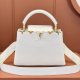 Louis Vuitton Capucines Small bag Replica