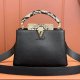 Louis Vuitton Capucines Small bag Replica