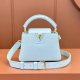 Louis Vuitton Capucines Mini bag Replica