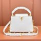 Louis Vuitton Capucines Mini bag Replica