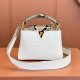Louis Vuitton Capucines Mini bag Replica