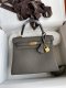 Hermes Kelly 25 Togo Handbag in Etain