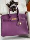 Hermes Birkin 25 30 35 Togo Handbag in Anemone