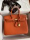Hermes Birkin 25 30 35 Togo Handbag in Orange