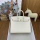 Hermes Birkin 25 30 35 Epsom Sellier Handbag in Craie