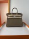 Hermes Birkin 25 Matt Alligator Crocodile Handbag in Etoupe