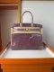 Hermes Birkin 25 Shiny Alligator Crocodile Handbag in Glycine