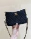chanel 24s Double Pearl hobo bag black sheepskin gold hardware